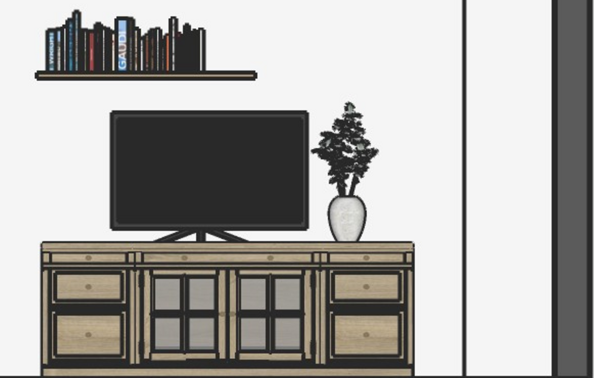 Guest-room elevation with a television, low media console, shelf, books and a plant.